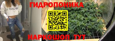 2c-b Кинель