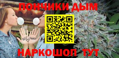spice Кингисепп