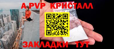 spice Кингисепп