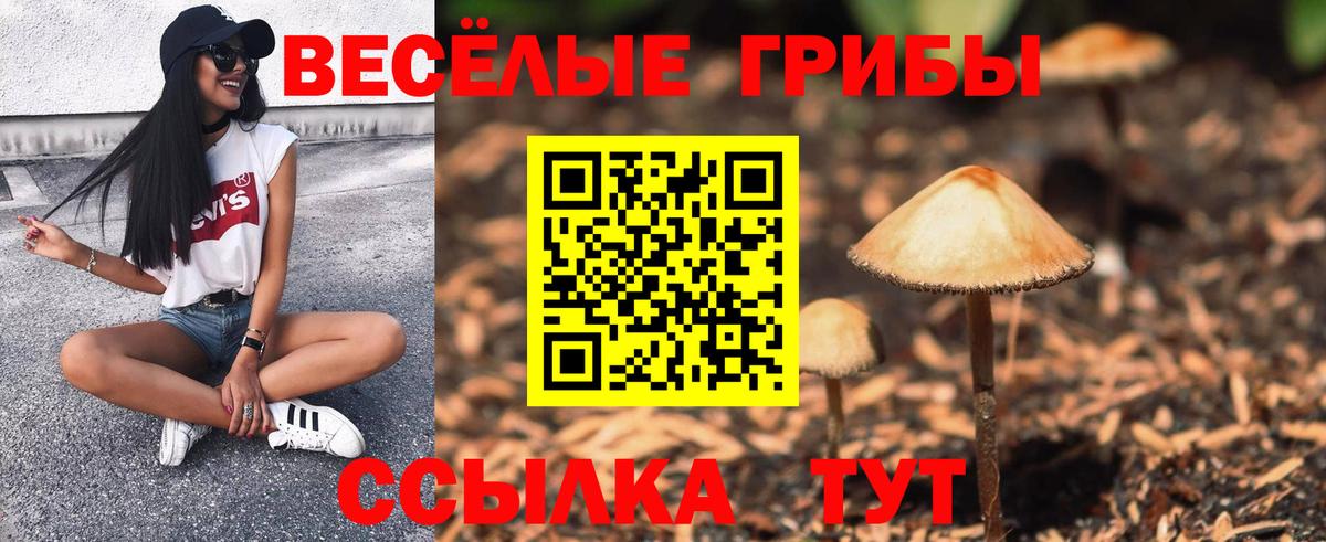 Кольчугино  Псилоцибиновые грибы Magic Shrooms  Вход с VPN 