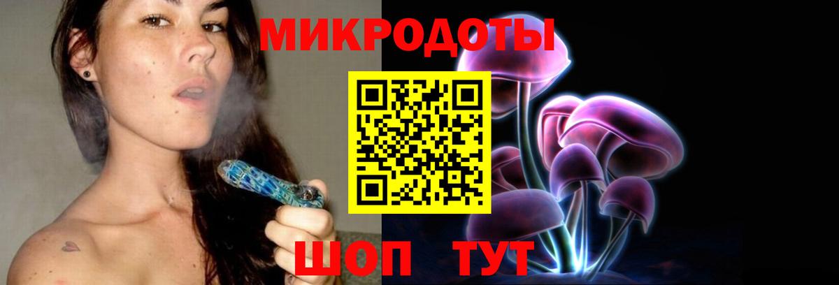 Псилоцибиновые грибы мухоморы Кольчугино